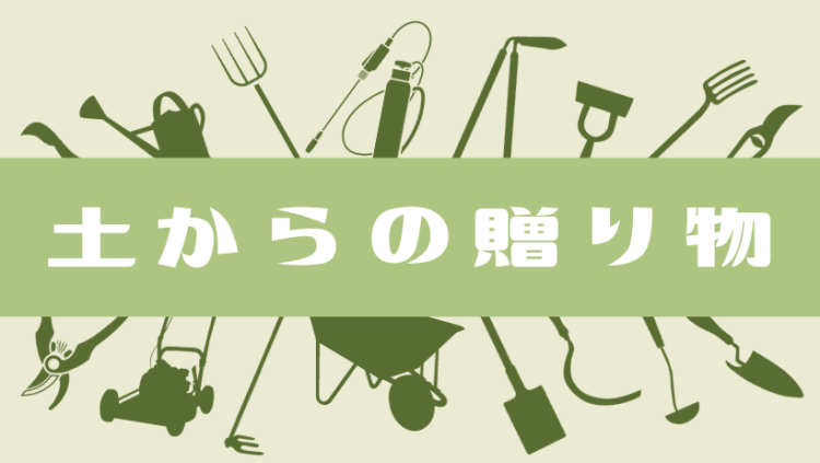 土からの贈り物